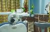 Dr Kalai s Dental Solutions -